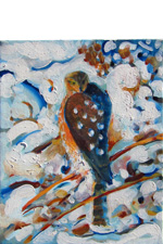 Coopers Hawk in the Early Winter Snow