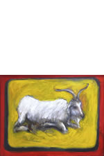 Old White Goat