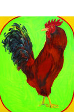 Rhode Island Red