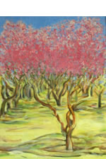 Savala's Peach Orchard